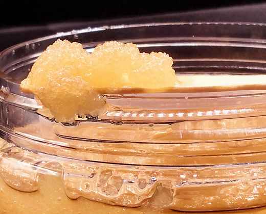 Bees's Knees Sugar Scrub